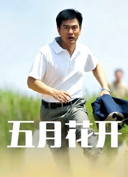 黑丝后宫